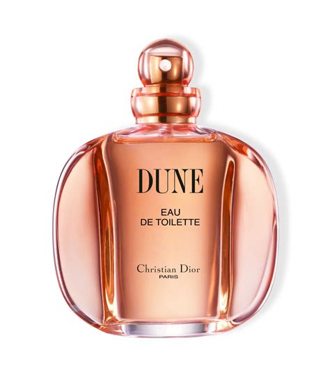 dior dune eau de toilette 100ml|cheapest price for dune perfume.